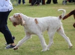 Filename=T-MagicMoments-1.jpg
Filesize=221KiB
Dimensions=800x589
Date added=Mar 23, 2021 T-MagicMoments-1.jpg
