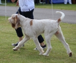 Filename=T-MagicMoments-3.jpg
Filesize=252KiB
Dimensions=800x667
Date added=Mar 23, 2021 T-MagicMoments-3.jpg