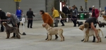 Filename=LimitDog.jpg
Filesize=130KiB
Dimensions=1280x612
Date added=Mar 23, 2021 LimitDog.jpg