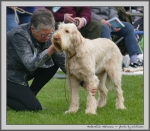Filename=A_Adrianna_2.jpg
Filesize=944KiB
Dimensions=1100x963
Date added=Mar 23, 2021 A_Adrianna_2.jpg