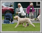Filename=Aurelia-TheExplorer.jpg
Filesize=906KiB
Dimensions=1100x871
Date added=Mar 23, 2021 Aurelia-TheExplorer.jpg