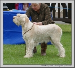 Filename=C_LimonCino.jpg
Filesize=1015KiB
Dimensions=1100x1001
Date added=Mar 23, 2021 C_LimonCino.jpg