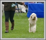 Filename=C_LimonCino_1.jpg
Filesize=992KiB
Dimensions=1100x966
Date added=Mar 23, 2021 C_LimonCino_1.jpg