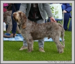 Filename=M_Hugo.jpg
Filesize=1105KiB
Dimensions=1100x946
Date added=Mar 23, 2021 M_Hugo.jpg