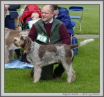 Filename=S_Kestrel.jpg
Filesize=1226KiB
Dimensions=1100x1028
Date added=Mar 23, 2021 S_Kestrel.jpg