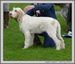 Filename=S_Skylark.jpg
Filesize=1024KiB
Dimensions=1100x943
Date added=Mar 23, 2021 S_Skylark.jpg