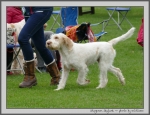 Filename=S_Skylark_1.jpg
Filesize=845KiB
Dimensions=1100x845
Date added=Mar 23, 2021 S_Skylark_1.jpg