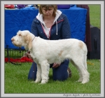Filename=S_Skylark_3.jpg
Filesize=1081KiB
Dimensions=1100x1025
Date added=Mar 23, 2021 S_Skylark_3.jpg