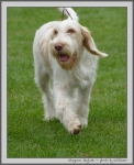 Filename=S_Skylark_4.jpg
Filesize=917KiB
Dimensions=895x1100
Date added=Mar 23, 2021 S_Skylark_4.jpg