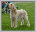 Filename=T_Aphrodite.jpg
Filesize=1135KiB
Dimensions=1100x993
Date added=Mar 23, 2021 T_Aphrodite.jpg