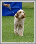 Filename=T_MagicMaggie_1.jpg
Filesize=920KiB
Dimensions=899x1100
Date added=Mar 23, 2021 T_MagicMaggie_1.jpg