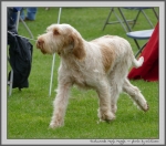 Filename=T_MagicMaggie_2.jpg
Filesize=954KiB
Dimensions=1100x969
Date added=Mar 23, 2021 T_MagicMaggie_2.jpg