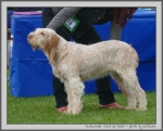 Filename=T_TwistOfGold.jpg
Filesize=827KiB
Dimensions=1100x888
Date added=Mar 23, 2021 T_TwistOfGold.jpg