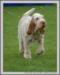 Filename=T_TwistOfGold_1.jpg
Filesize=888KiB
Dimensions=888x1100
Date added=Mar 23, 2021 T_TwistOfGold_1.jpg