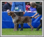 Filename=Wess-DelMontecani_1.jpg
Filesize=916KiB
Dimensions=1100x933
Date added=Mar 23, 2021 Wess-DelMontecani_1.jpg