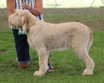 Filename=A-Adrianna.jpg
Filesize=250KiB
Dimensions=800x645
Date added=Mar 23, 2021 A-Adrianna.jpg