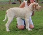 Filename=T-MagicMoments.jpg
Filesize=250KiB
Dimensions=800x662
Date added=Mar 23, 2021 T-MagicMoments.jpg