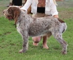 Filename=Wolf-DelSubasio.jpg
Filesize=280KiB
Dimensions=800x663
Date added=Mar 23, 2021 Wolf-DelSubasio.jpg