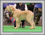 Filename=A_Adrianna_1.jpg
Filesize=679KiB
Dimensions=1007x780
Date added=Mar 23, 2021 A_Adrianna_1.jpg