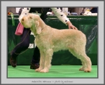 Filename=A_Adrianna_2.jpg
Filesize=631KiB
Dimensions=953x780
Date added=Mar 23, 2021 A_Adrianna_2.jpg