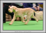Filename=A_Adrianna_3.jpg
Filesize=633KiB
Dimensions=1040x769
Date added=Mar 23, 2021 A_Adrianna_3.jpg