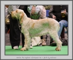 Filename=Aurelia-TheExplorer_2.jpg
Filesize=605KiB
Dimensions=959x780
Date added=Mar 23, 2021 Aurelia-TheExplorer_2.jpg
