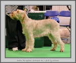Filename=Aurelia-TheExplorer_3.jpg
Filesize=619KiB
Dimensions=947x780
Date added=Mar 23, 2021 Aurelia-TheExplorer_3.jpg