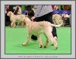 Filename=Aurelia-TheExplorer_4.jpg
Filesize=820KiB
Dimensions=1008x780
Date added=Mar 23, 2021 Aurelia-TheExplorer_4.jpg