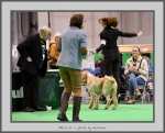 Filename=BCC.jpg
Filesize=655KiB
Dimensions=963x780
Date added=Mar 23, 2021 BCC.jpg