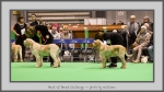 Filename=BOB_Challenge.jpg
Filesize=598KiB
Dimensions=1040x586
Date added=Mar 23, 2021 BOB_Challenge.jpg