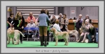 Filename=BOB_Challenge_1.jpg
Filesize=546KiB
Dimensions=1040x545
Date added=Mar 23, 2021 BOB_Challenge_1.jpg
