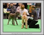 Filename=BPB_Challenge.jpg
Filesize=719KiB
Dimensions=969x780
Date added=Mar 23, 2021 BPB_Challenge.jpg