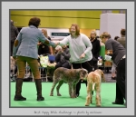 Filename=BPB_Challenge_1.jpg
Filesize=651KiB
Dimensions=904x780
Date added=Mar 23, 2021 BPB_Challenge_1.jpg