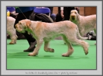 Filename=C_LimonCino_4.jpg
Filesize=691KiB
Dimensions=1040x769
Date added=Mar 23, 2021 C_LimonCino_4.jpg