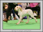 Filename=E_Teagan_3.jpg
Filesize=620KiB
Dimensions=1029x780
Date added=Mar 23, 2021 E_Teagan_3.jpg