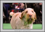 Filename=G_SignorPi_2.jpg
Filesize=610KiB
Dimensions=1040x740
Date added=Mar 23, 2021 G_SignorPi_2.jpg