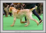 Filename=G_SignorPi_7.jpg
Filesize=638KiB
Dimensions=1040x769
Date added=Mar 23, 2021 G_SignorPi_7.jpg