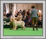 Filename=H_KirRoyale_3.jpg
Filesize=644KiB
Dimensions=898x780
Date added=Mar 23, 2021 H_KirRoyale_3.jpg