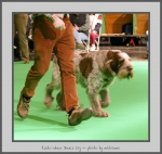Filename=I_WhenDovesCry_2.jpg
Filesize=514KiB
Dimensions=822x780
Date added=Mar 23, 2021 I_WhenDovesCry_2.jpg