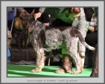 Filename=L_Catequil_1.jpg
Filesize=710KiB
Dimensions=971x780
Date added=Mar 23, 2021 L_Catequil_1.jpg