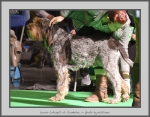 Filename=L_Catequil_2.jpg
Filesize=770KiB
Dimensions=998x780
Date added=Mar 23, 2021 L_Catequil_2.jpg