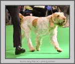 Filename=M_HarrysRock_2.jpg
Filesize=555KiB
Dimensions=904x780
Date added=Mar 23, 2021 M_HarrysRock_2.jpg