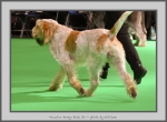 Filename=M_HarrysRock_5.jpg
Filesize=668KiB
Dimensions=1040x765
Date added=Mar 23, 2021 M_HarrysRock_5.jpg