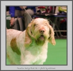 Filename=M_HarrysRock_7.jpg
Filesize=527KiB
Dimensions=798x780
Date added=Mar 23, 2021 M_HarrysRock_7.jpg