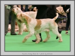 Filename=M_HarrysRock_8.jpg
Filesize=708KiB
Dimensions=1035x780
Date added=Mar 23, 2021 M_HarrysRock_8.jpg