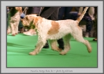 Filename=M_HarrysRock_9.jpg
Filesize=636KiB
Dimensions=1040x747
Date added=Mar 23, 2021 M_HarrysRock_9.jpg