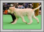 Filename=P_CandysCosmo_5.jpg
Filesize=673KiB
Dimensions=1040x769
Date added=Mar 23, 2021 P_CandysCosmo_5.jpg