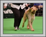 Filename=P_MontyBojangle_1.jpg
Filesize=590KiB
Dimensions=962x780
Date added=Mar 23, 2021 P_MontyBojangle_1.jpg