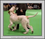 Filename=P_VanillaCrunch.jpg
Filesize=508KiB
Dimensions=881x780
Date added=Mar 23, 2021 P_VanillaCrunch.jpg
