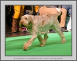 Filename=R_FairDinkum_2.jpg
Filesize=624KiB
Dimensions=980x780
Date added=Mar 23, 2021 R_FairDinkum_2.jpg